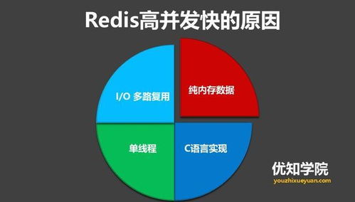 粪发涂墙 Redis数据处理与存储服务解析